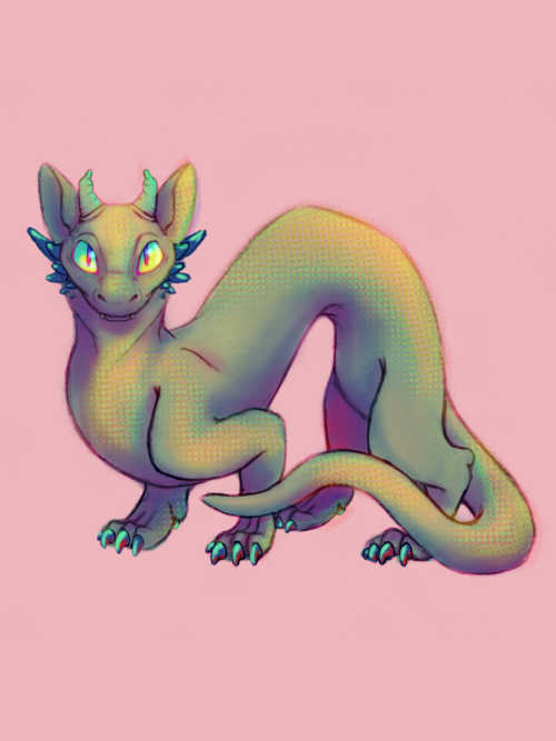 noodle boy